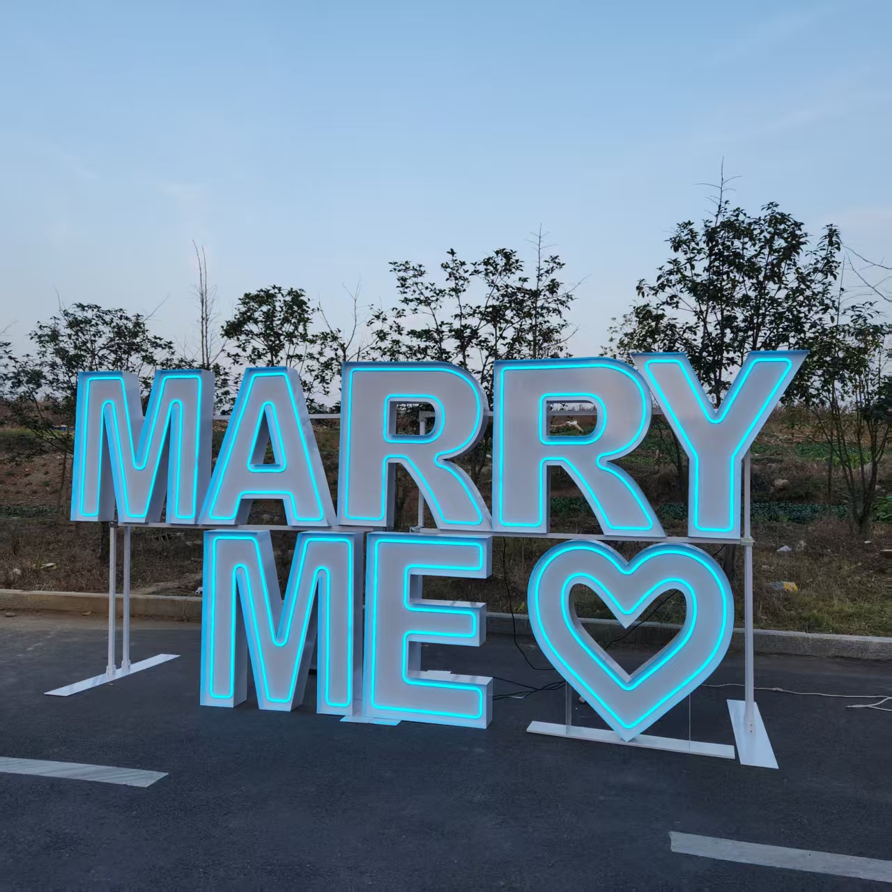 MARRY ME Metal RGB LED Neon Si - đánh giá và giá Wedding Supply Rentals
